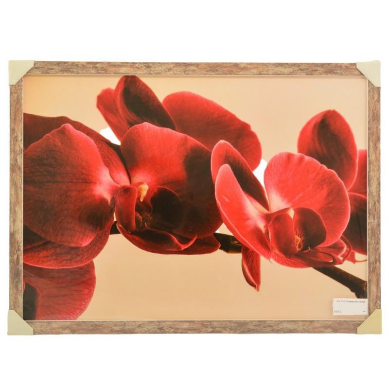 Obraz reprodukcja 70/50 SB mix